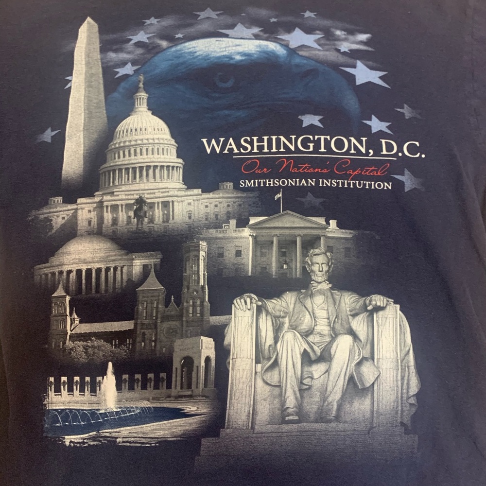 Vintage Washington DC Smithsonian T Navy LG